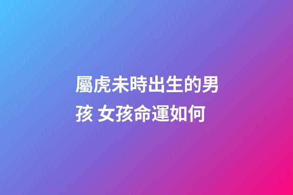 屬虎未時出生的男孩 女孩命運如何